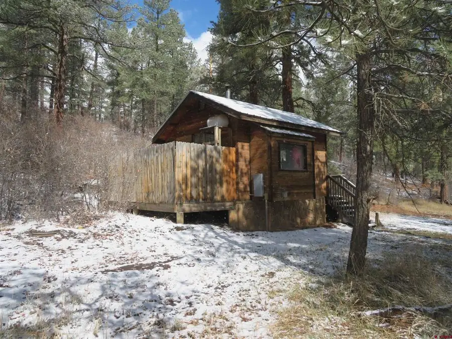 203 Evergreen, Pagosa Springs, CO 81147 - #2