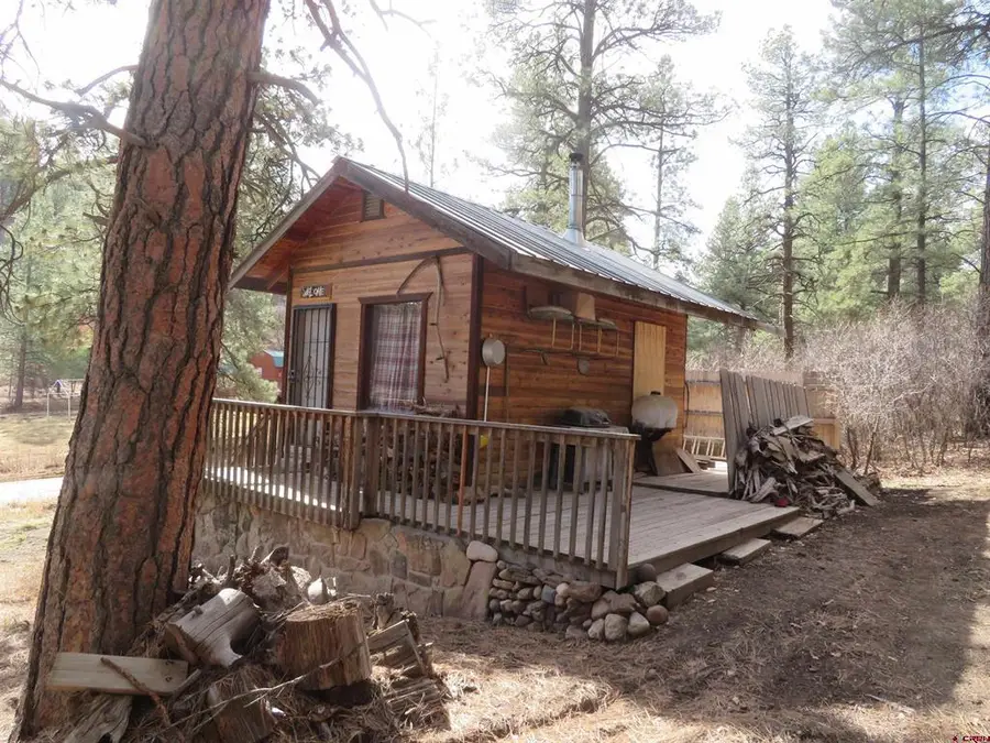 203 Evergreen, Pagosa Springs, CO 81147 - #3