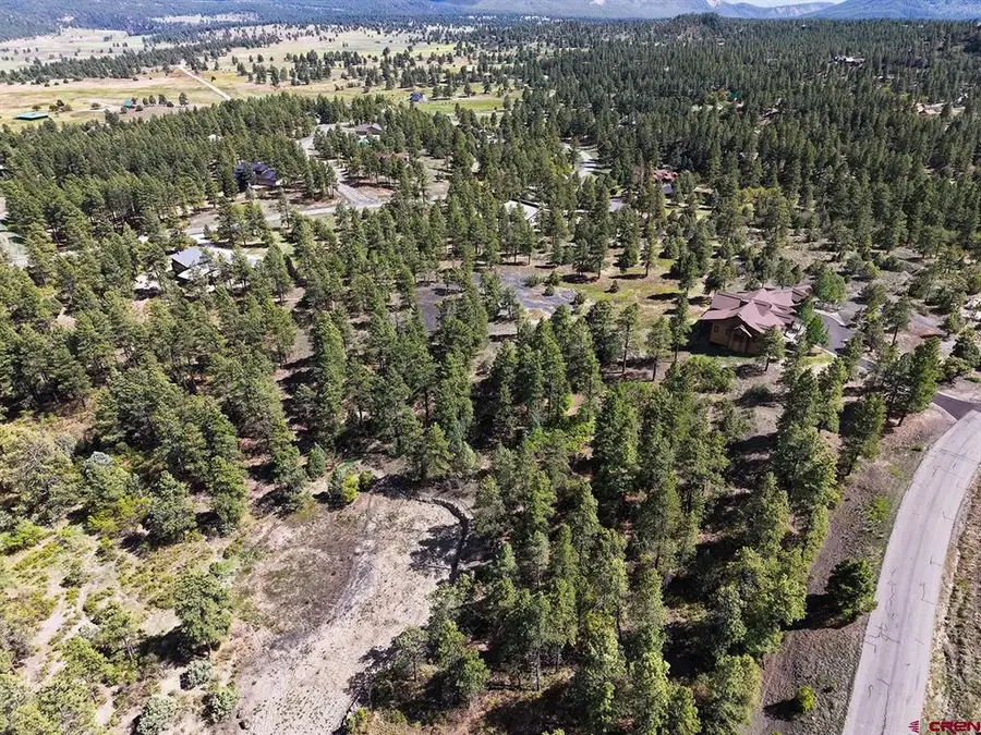 511 Cool Pines Drive, Pagosa Springs, CO 81147 - #3