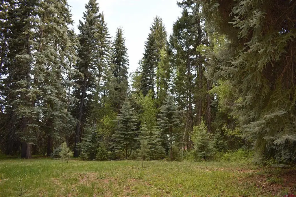 TBD Trust Drive, Bayfield, CO 81122 - #1