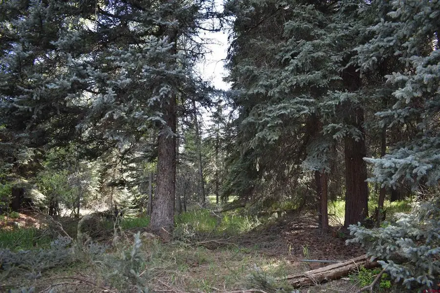 TBD Trust Drive, Bayfield, CO 81122 - #3