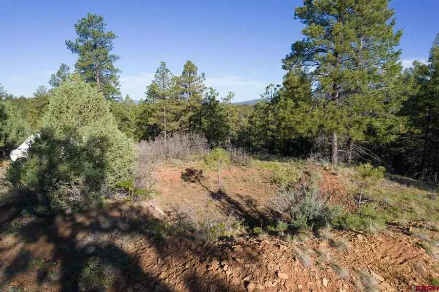 157 Carey's Court, Pagosa Springs, CO 81147 - #2