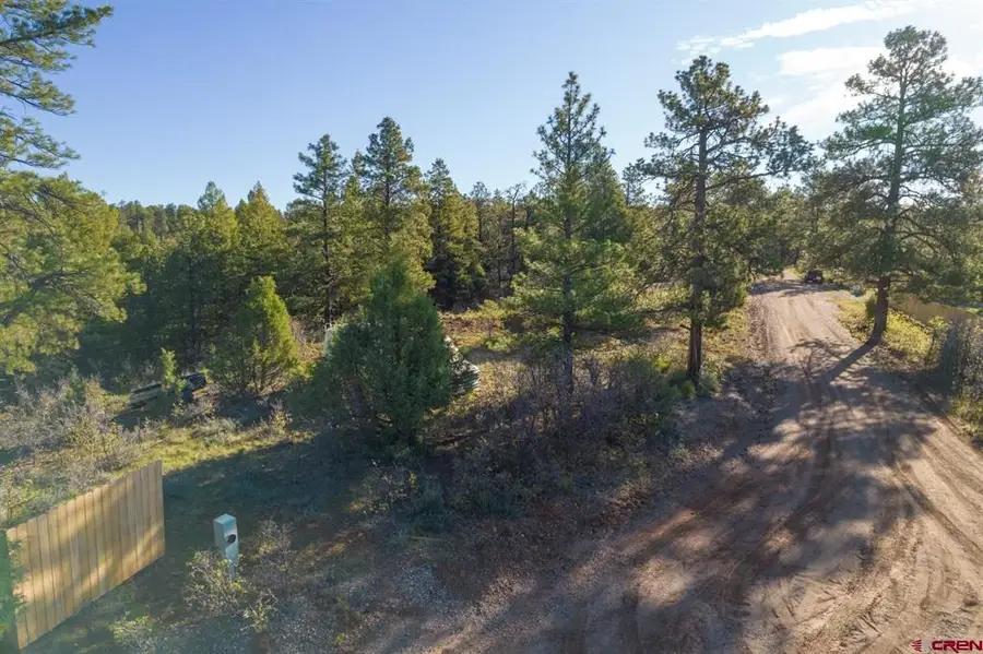 157 Carey's Court, Pagosa Springs, CO 81147 - #3