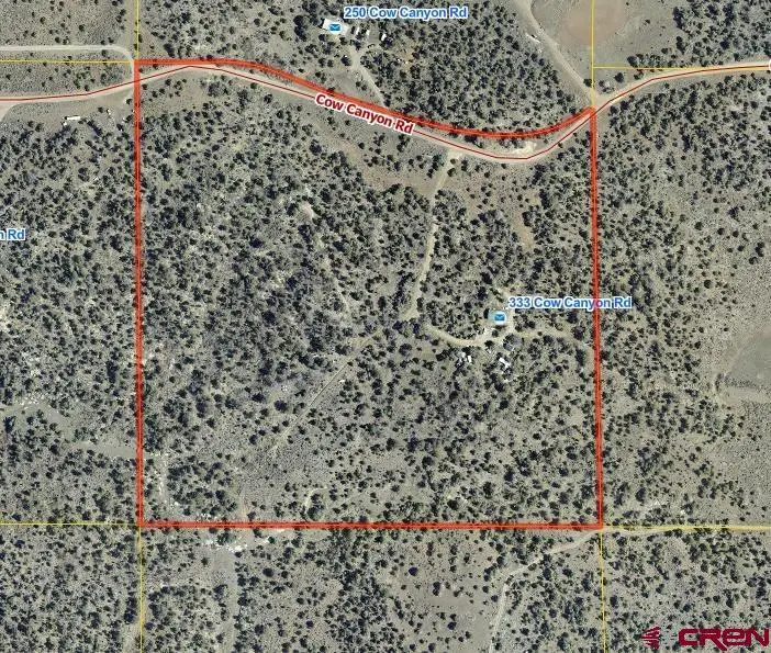 333 Cow Canyon Road, Ignacio, CO 81137 - #2