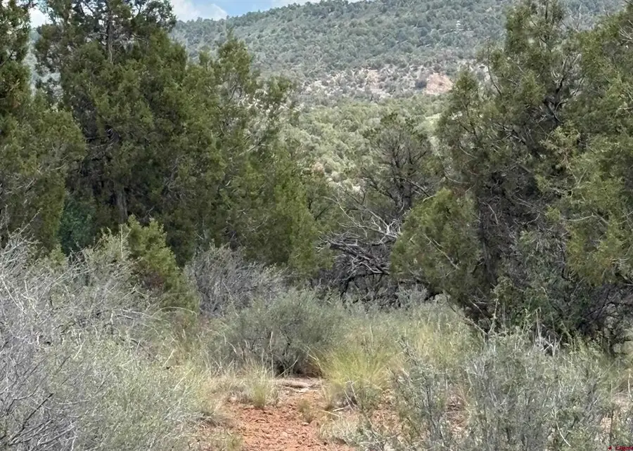 333 Cow Canyon Road, Ignacio, CO 81137 - #3