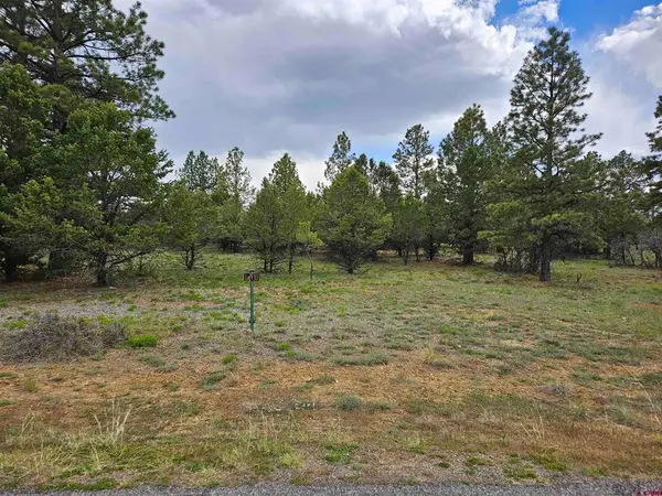 TBD Marmot Drive, Ridgway, CO 81432