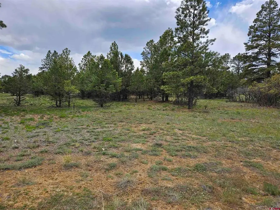 TBD Marmot Drive, Ridgway, CO 81432 - #2