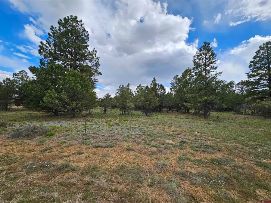 TBD Marmot Drive, Ridgway, CO 81432 - #3