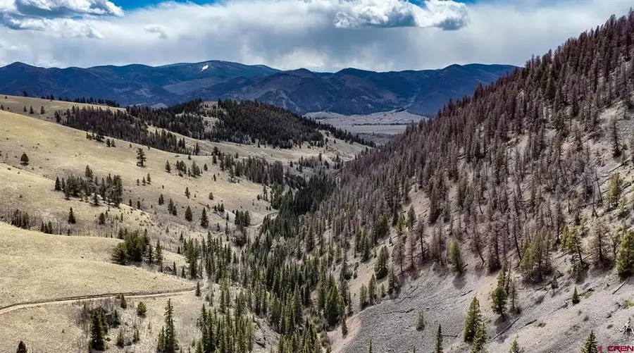 1441 Forest Road 507 1a, Creede, CO 81130 - #3