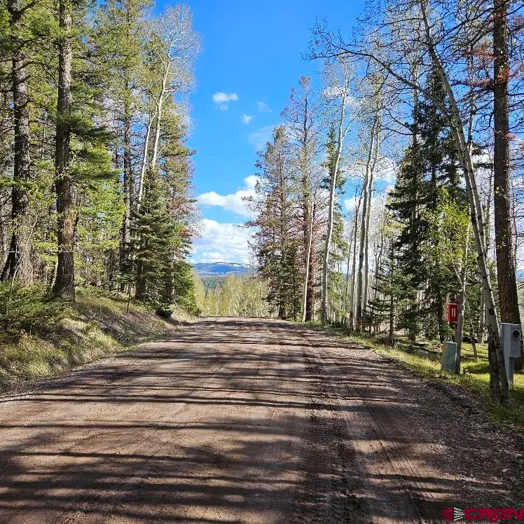 97 Aspen Trail, Cimarron, CO 81220 - #1