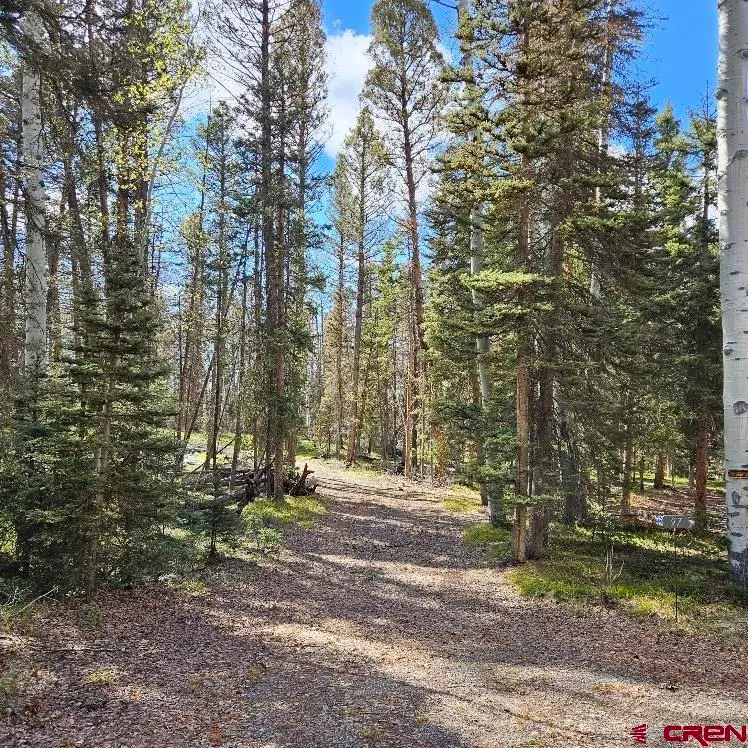 97 Aspen Trail, Cimarron, CO 81220 - #3