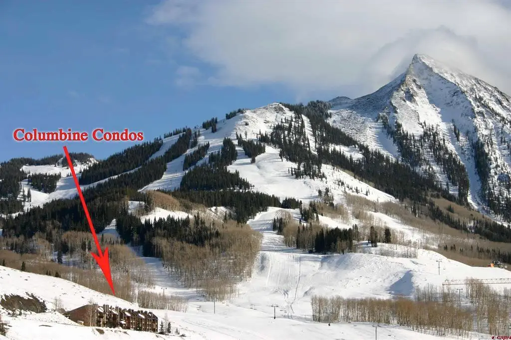 51 Whetstone Road #2306, Mount Crested Butte, CO 81225 - #1