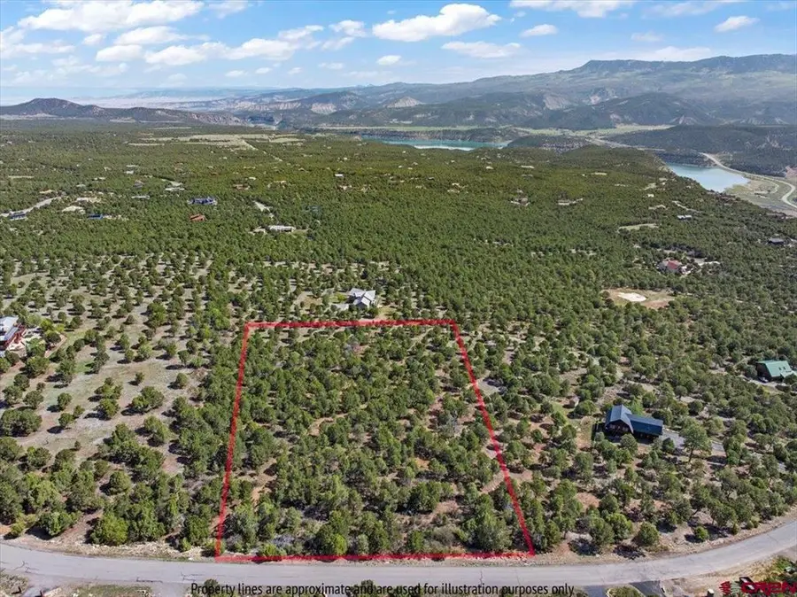 Lot 10 Pine Drive, Ridgway, CO 81432 - #2