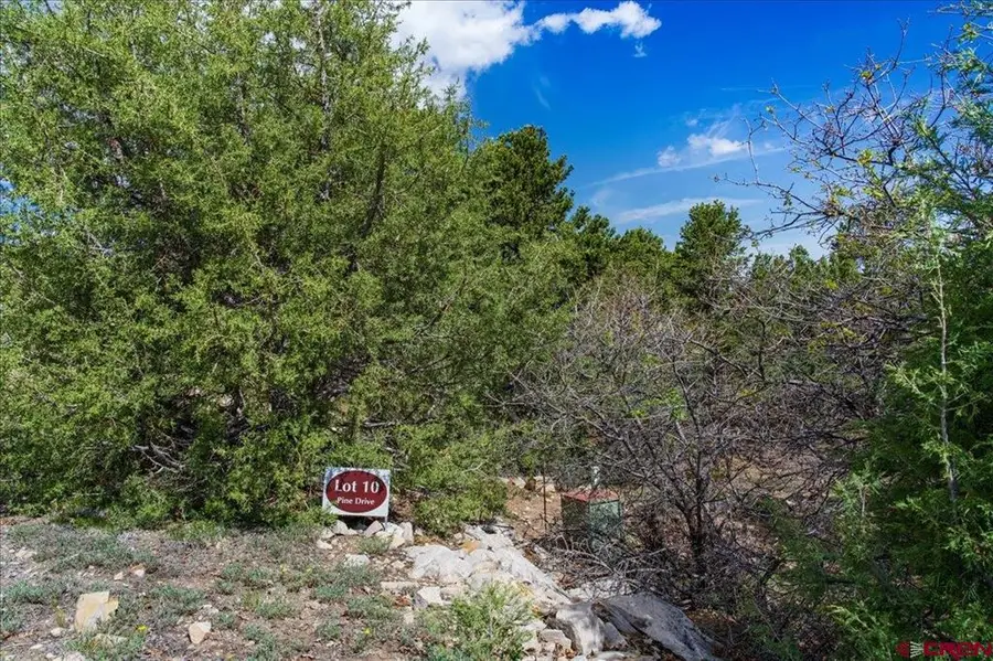 Lot 10 Pine Drive, Ridgway, CO 81432 - #3