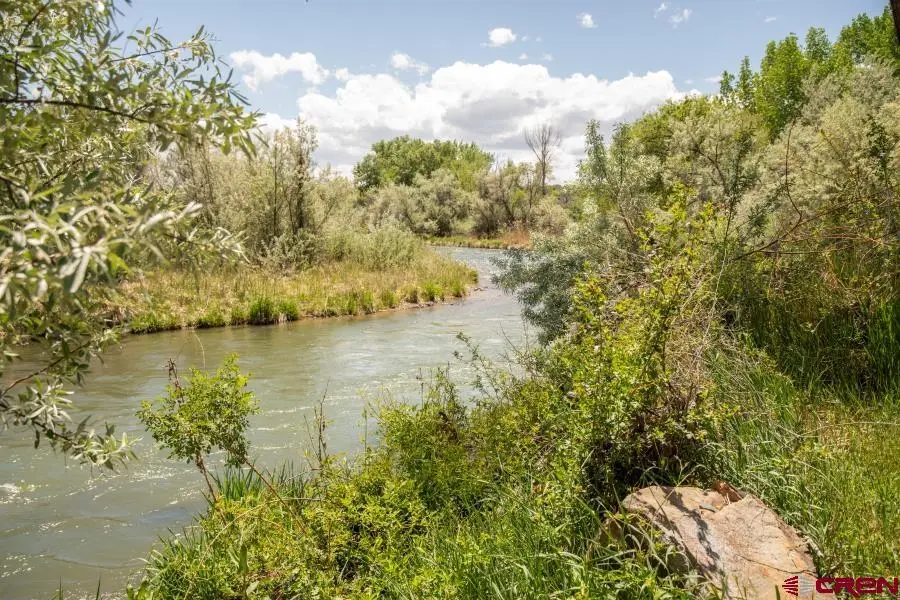 62880 Lasalle Road #180, Montrose, CO 81401 - #3