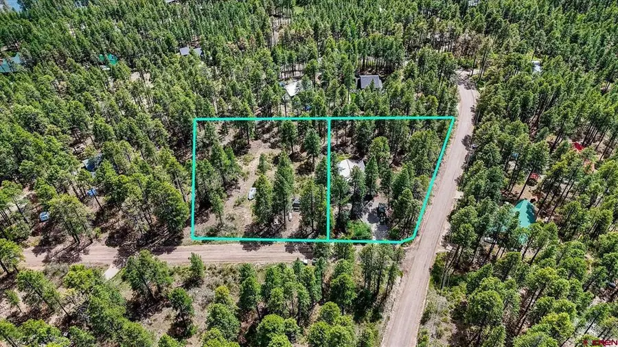 14 Pine Cone Drive, Bayfield, CO 81122 - #3
