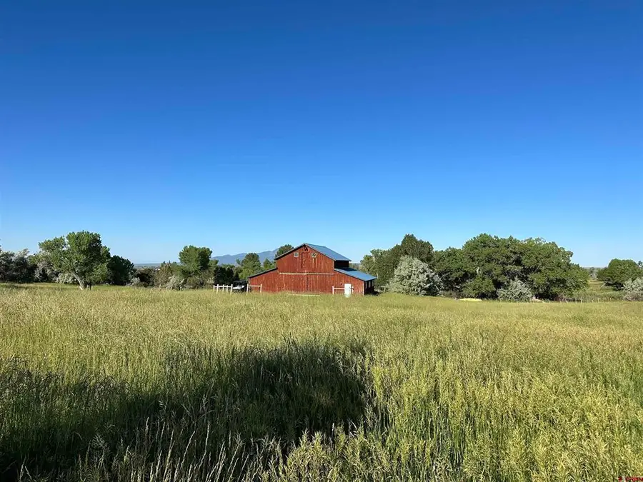 16598 Road 26, Dolores, CO 81323 - #2