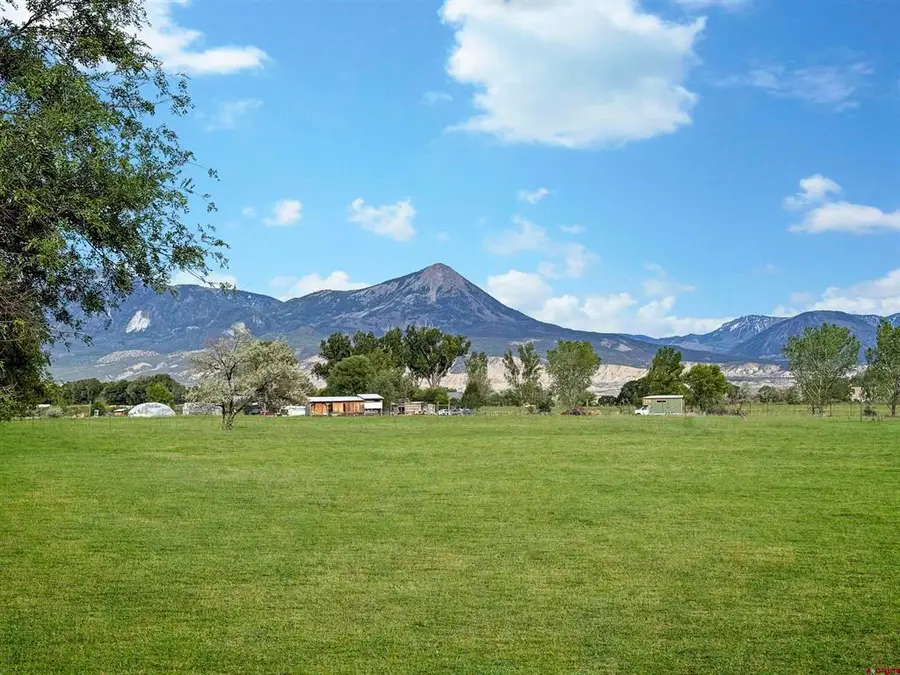 10944 3500 Road, Hotchkiss, CO 81419 - #3