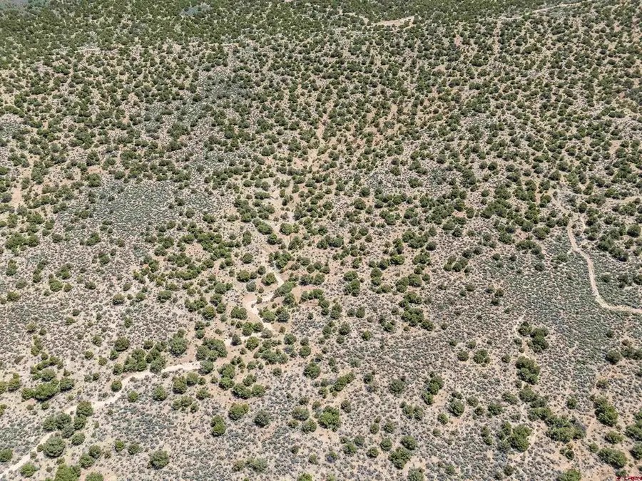 TBD Countyrd 20.5, Fort Garland, CO 81133 - #3