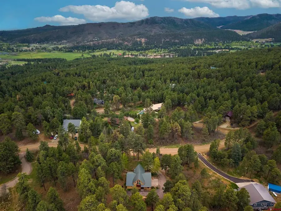 197 Buckhorn Road, Bayfield, CO 81122 - #3