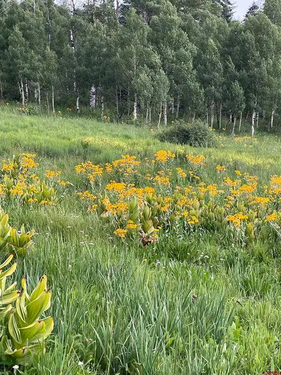 255 Wapiti Place, Creede, CO 81130 - #2