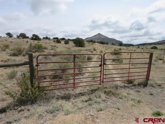 274 Antelope Trail, Del Norte, CO 81132 - #1