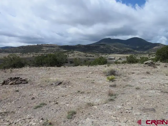 274 Antelope Trail, Del Norte, CO 81132 - #3