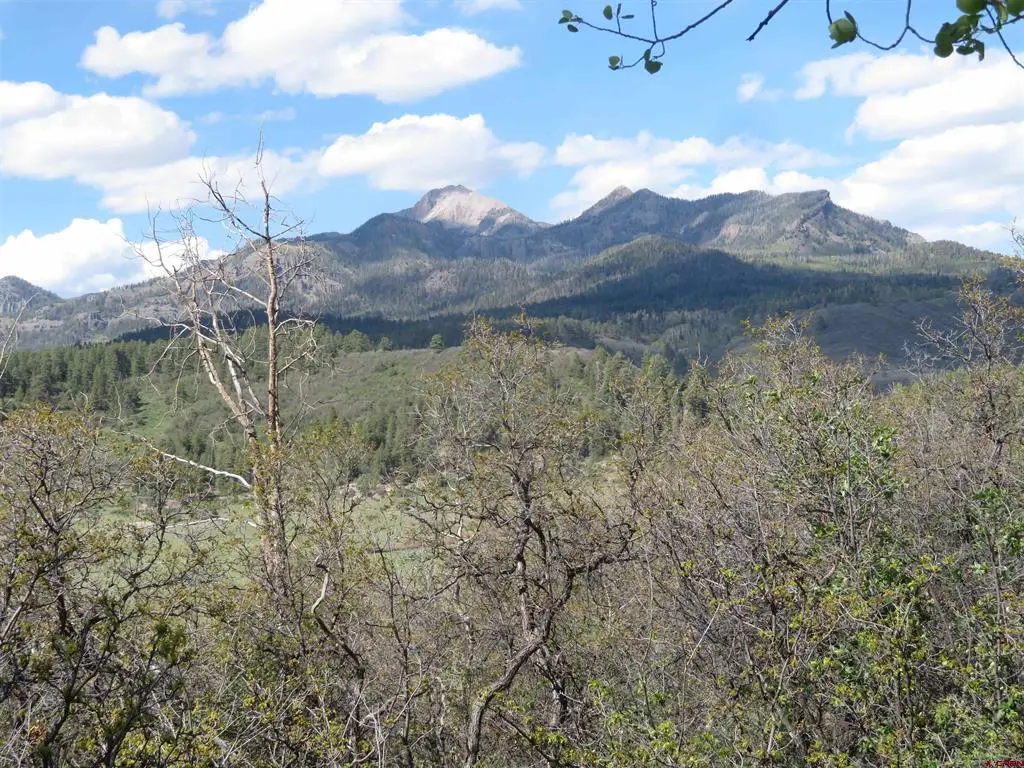 1000 Perry Dr., Pagosa Springs, CO 81147 - #1