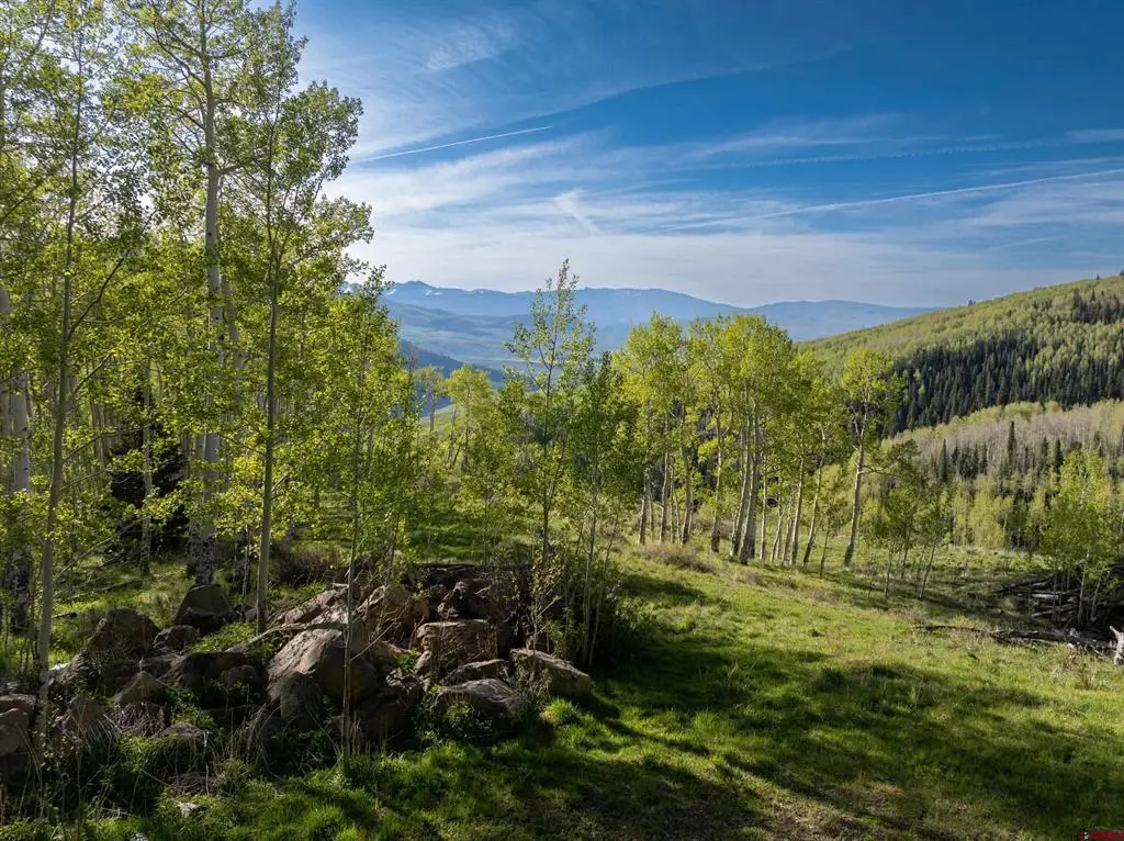 TBD Oversteeg Gulch Road, Crested Butte, CO 81224 - #1
