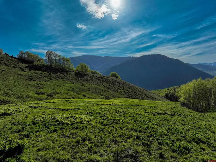 TBD Oversteeg Gulch Road, Crested Butte, CO 81224 - #3