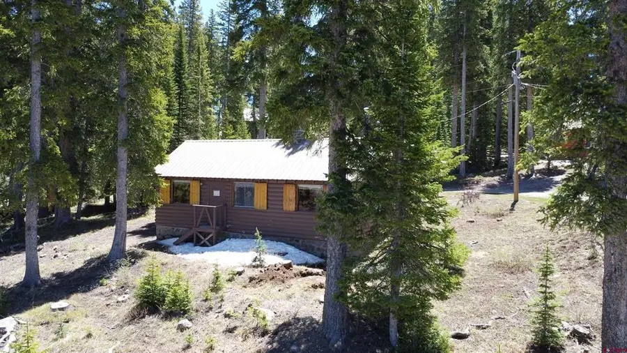 26709 Upper Twin Lake Drive, Cedaredge, CO 81413 - #2