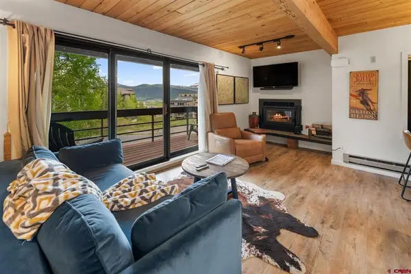 400 Gothic Road #202, Mt. Crested Butte, CO 81225