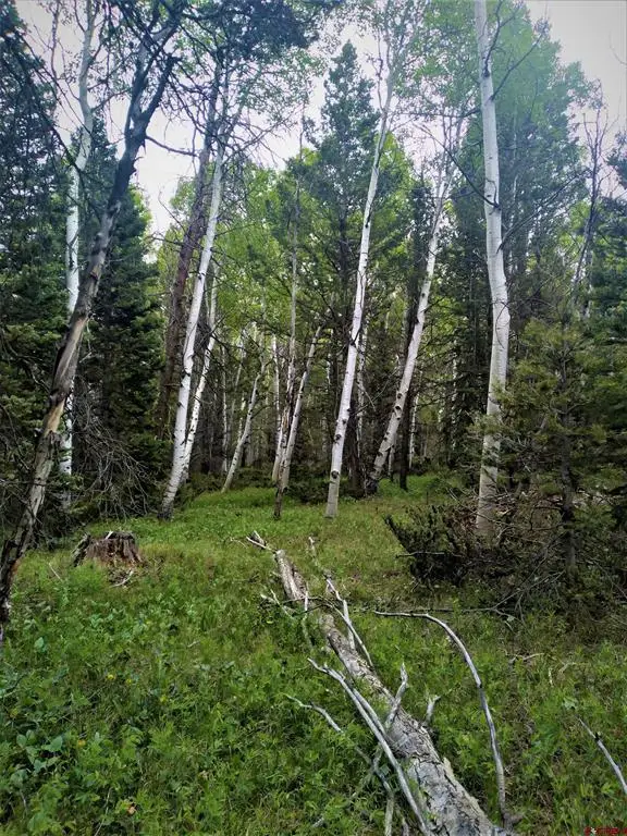 525 Crest Drive, Cimarron, CO 81220 - #3