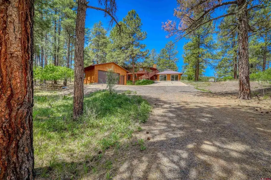 235 Clearwater Drive, Pagosa Springs, CO 81147 - #3