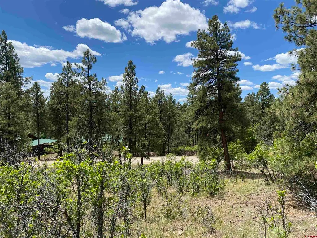 124 Granada Drive, Pagosa Springs, CO 81147 - #1