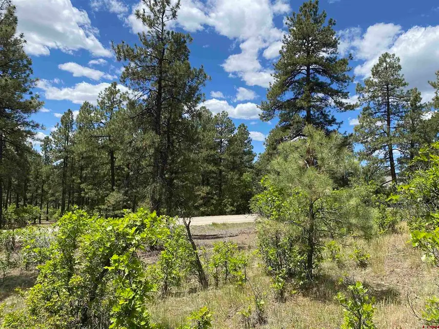 124 Granada Drive, Pagosa Springs, CO 81147 - #3