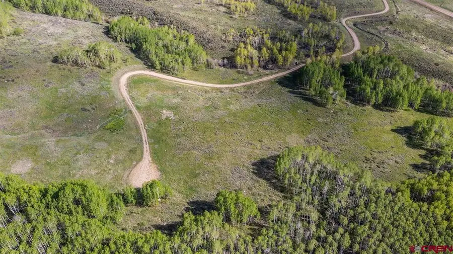 719 Red Mountain Ranch Road, Crested Butte, CO 81224 - #2