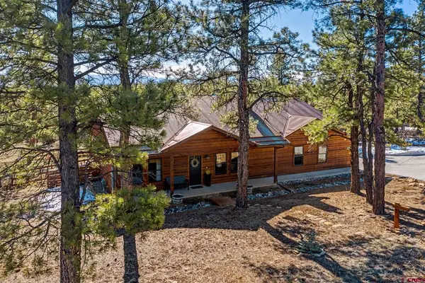 213 Big Canyon Point, Ridgway, CO 81432