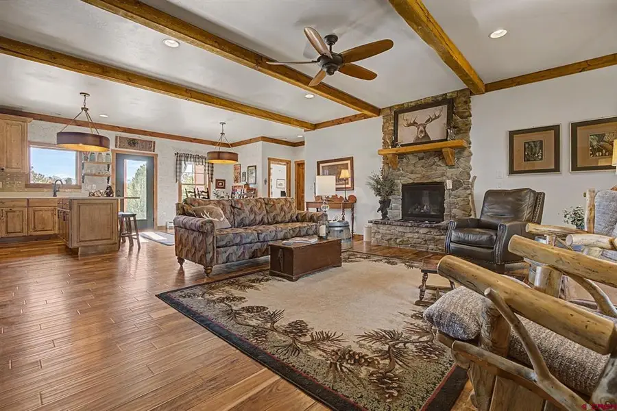 213 Big Canyon Point, Ridgway, CO 81432 - #3