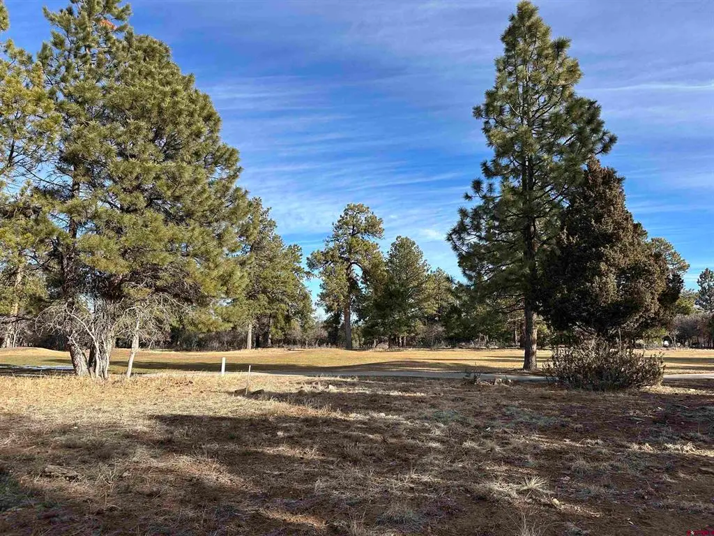 120 Puma Lane, Ridgway, CO 81432 - #1