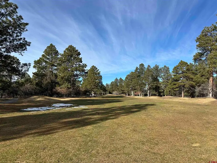 120 Puma Lane, Ridgway, CO 81432 - #2