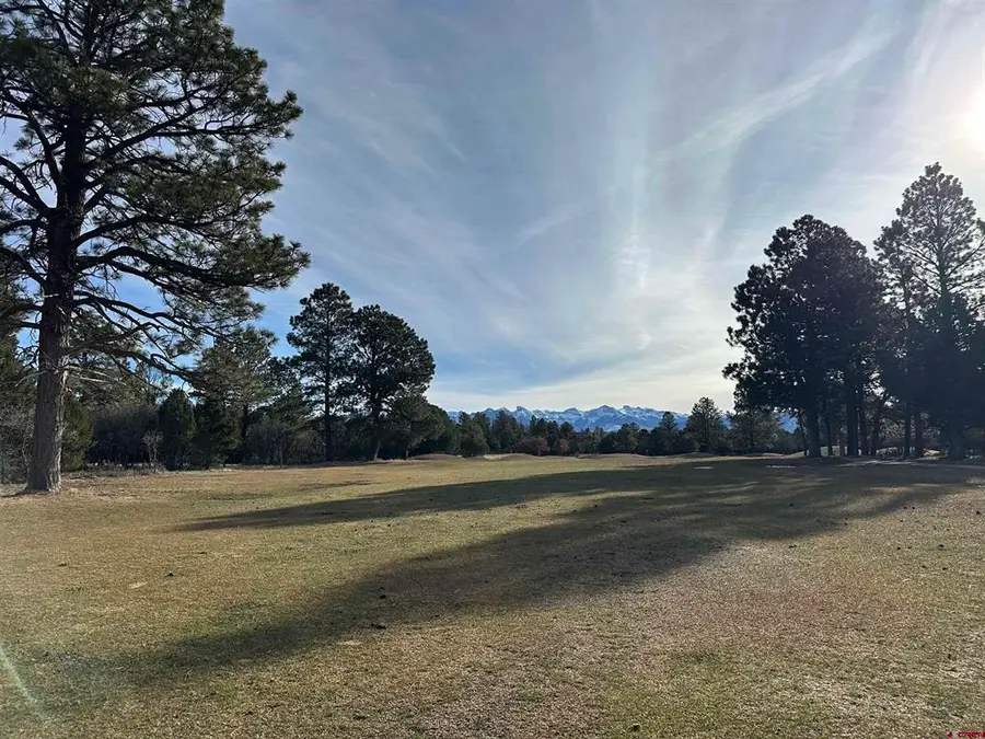 120 Puma Lane, Ridgway, CO 81432 - #3