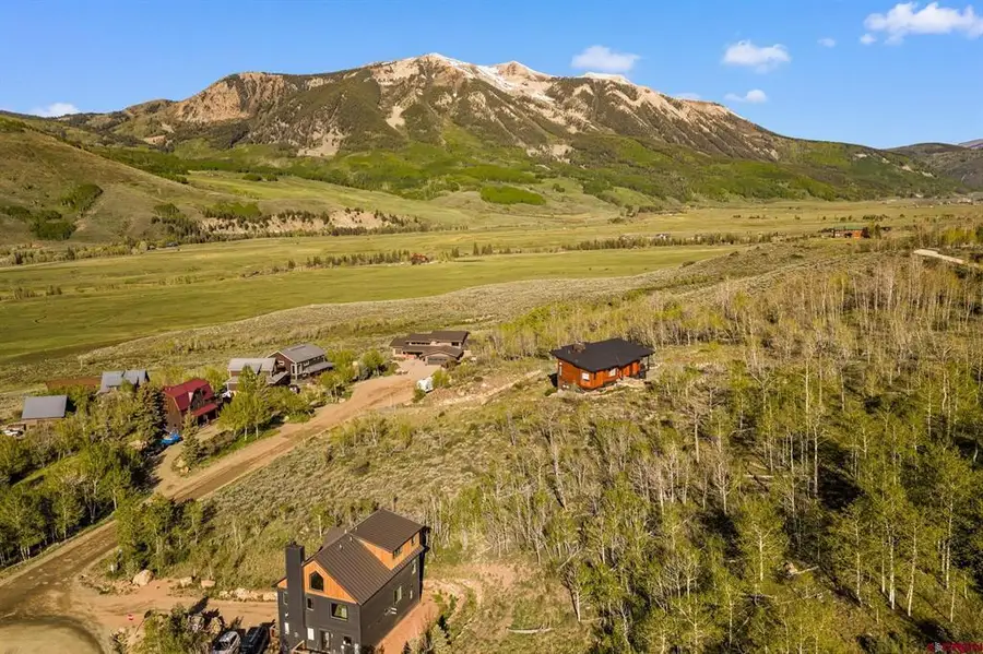 4482 Bryant Avenue, Crested Butte, CO 81224 - #2