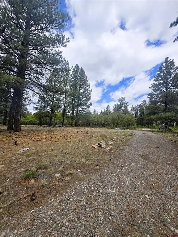 2 Flagstone Lane, Norwood, CO 81423 - #3
