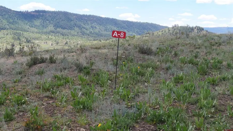 640 Irwin Place, Pagosa Springs, CO 81147 - #3