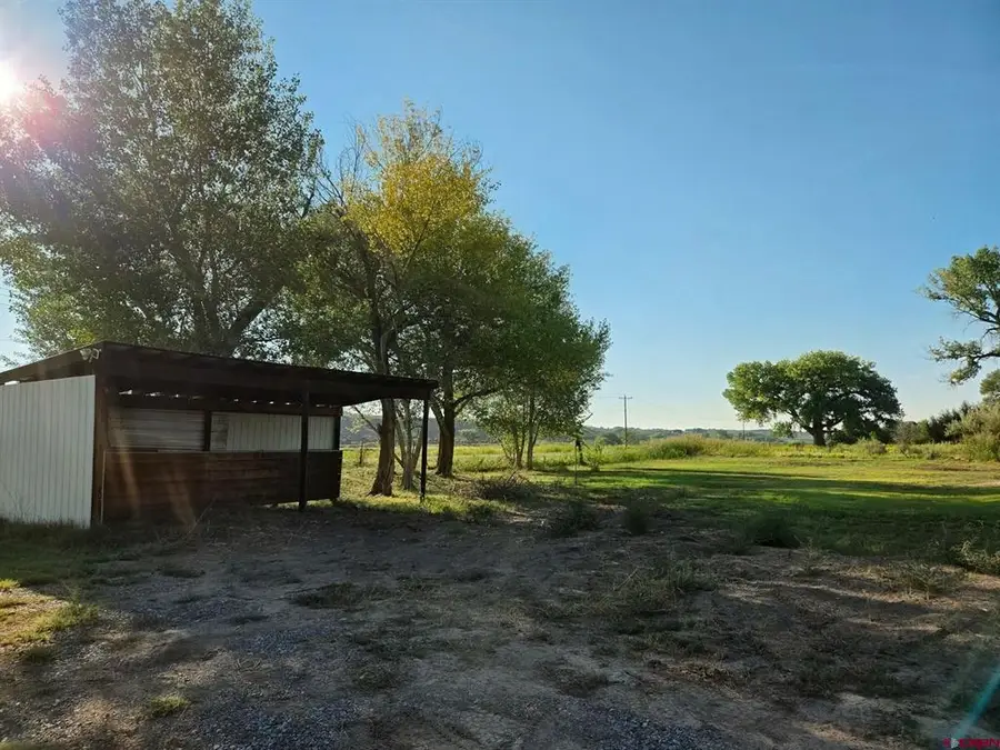 10376 South River Rd, Montrose, CO 81403 - #3