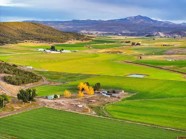 10203 Bostwick Park Road, Montrose, CO 81401