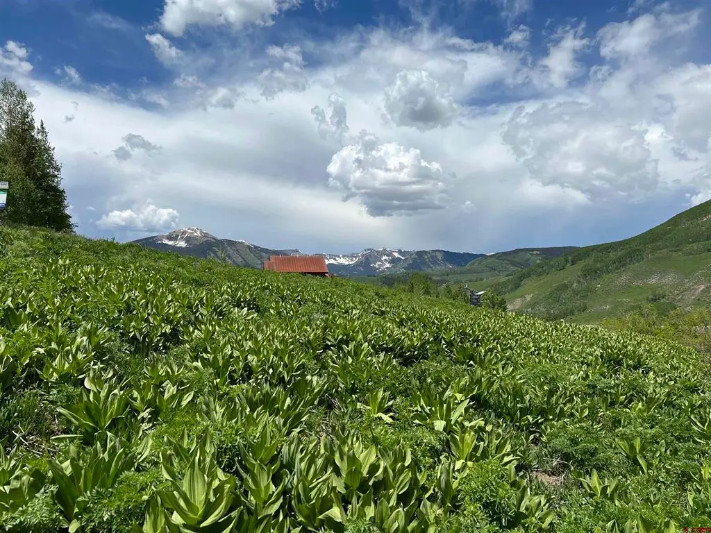 18 Cinnamon Mountain Road, Mount Crested Butte, CO 81225 - #1
