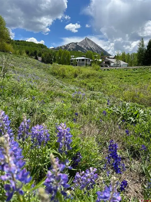 18 Cinnamon Mountain Road, Mount Crested Butte, CO 81225 - #2
