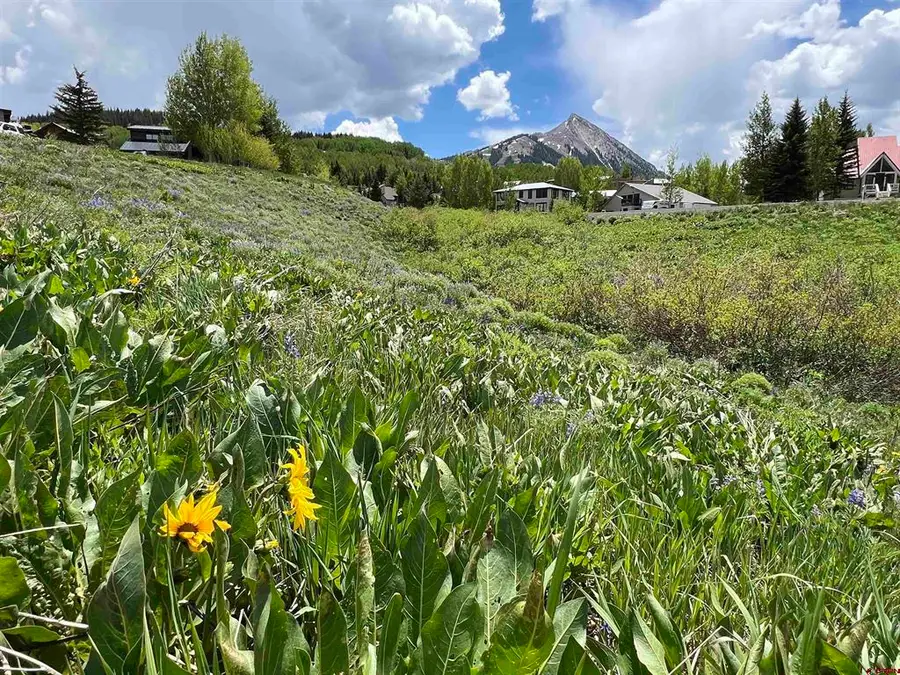 18 Cinnamon Mountain Road, Mount Crested Butte, CO 81225 - #3